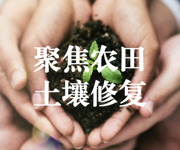 聚焦農(nóng)田土壤修復(fù)，保障糧食產(chǎn)品安全 ——踔厲奮發(fā)、篤行不怠，以奮斗之姿獻禮黨的二十大